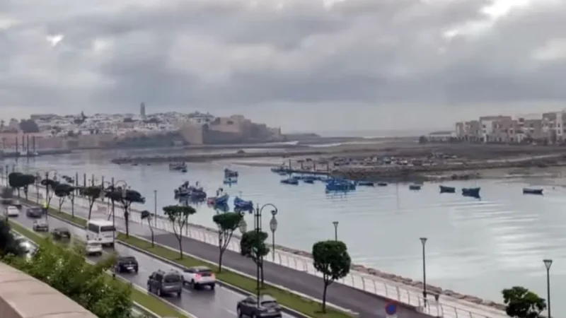 طقس الخميس..سحب منخفضة مصحوبة بكتل ضبابية