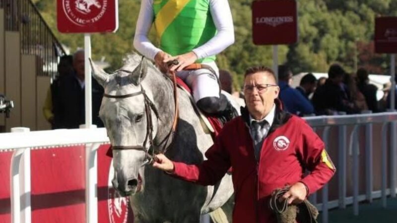 ليبيا تشارك في جائزة  الملك محمد السادس للخيول العربية الأصيلة