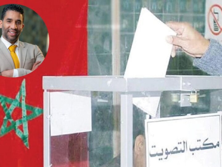 ابراهيم النعناعي يكتب: انتخابات 2026.. انتخابات برهان ملكي